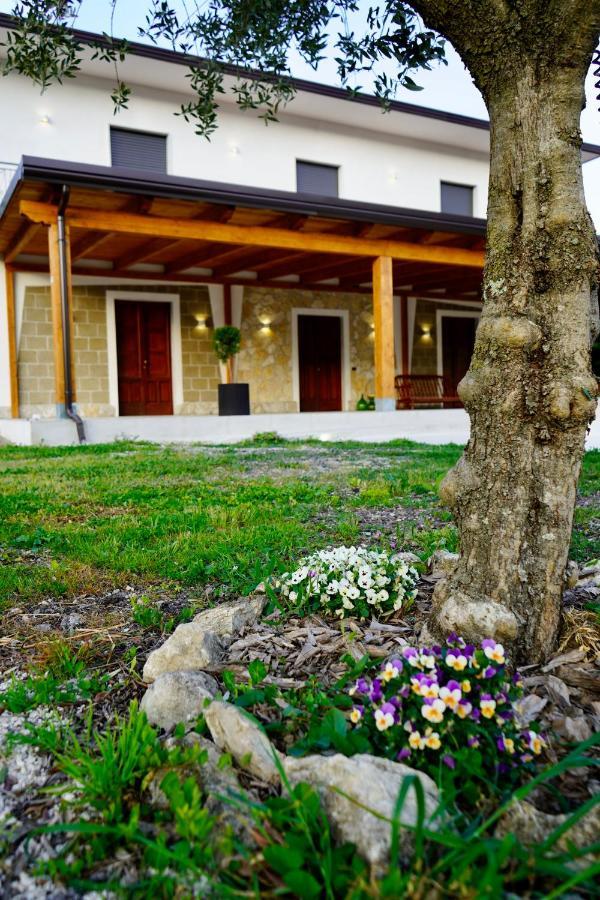 Bed and Breakfast Atomos Alvignano Exteriér fotografie